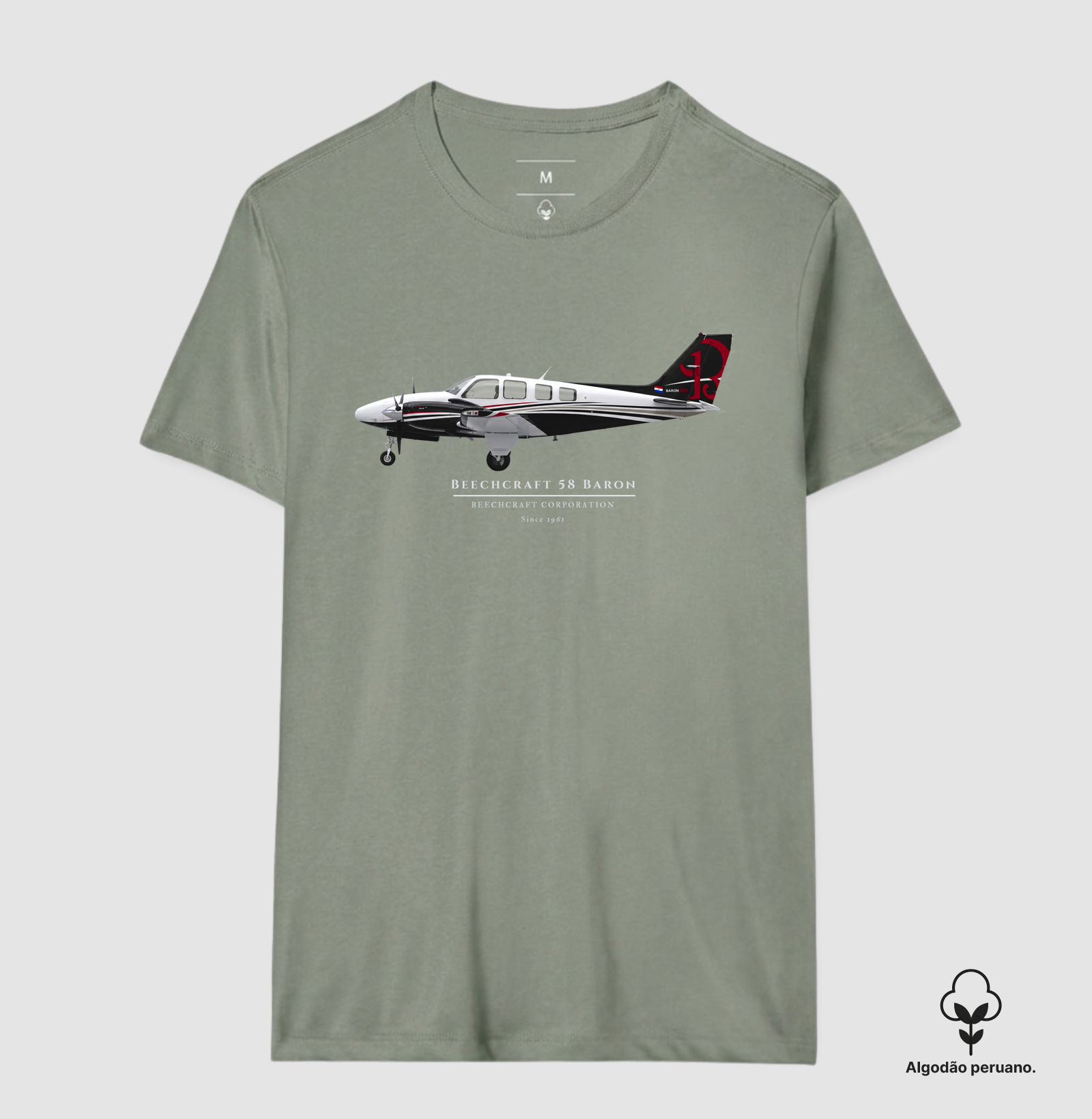 Beechcraft Baron 58 - Profile - Imagem 9