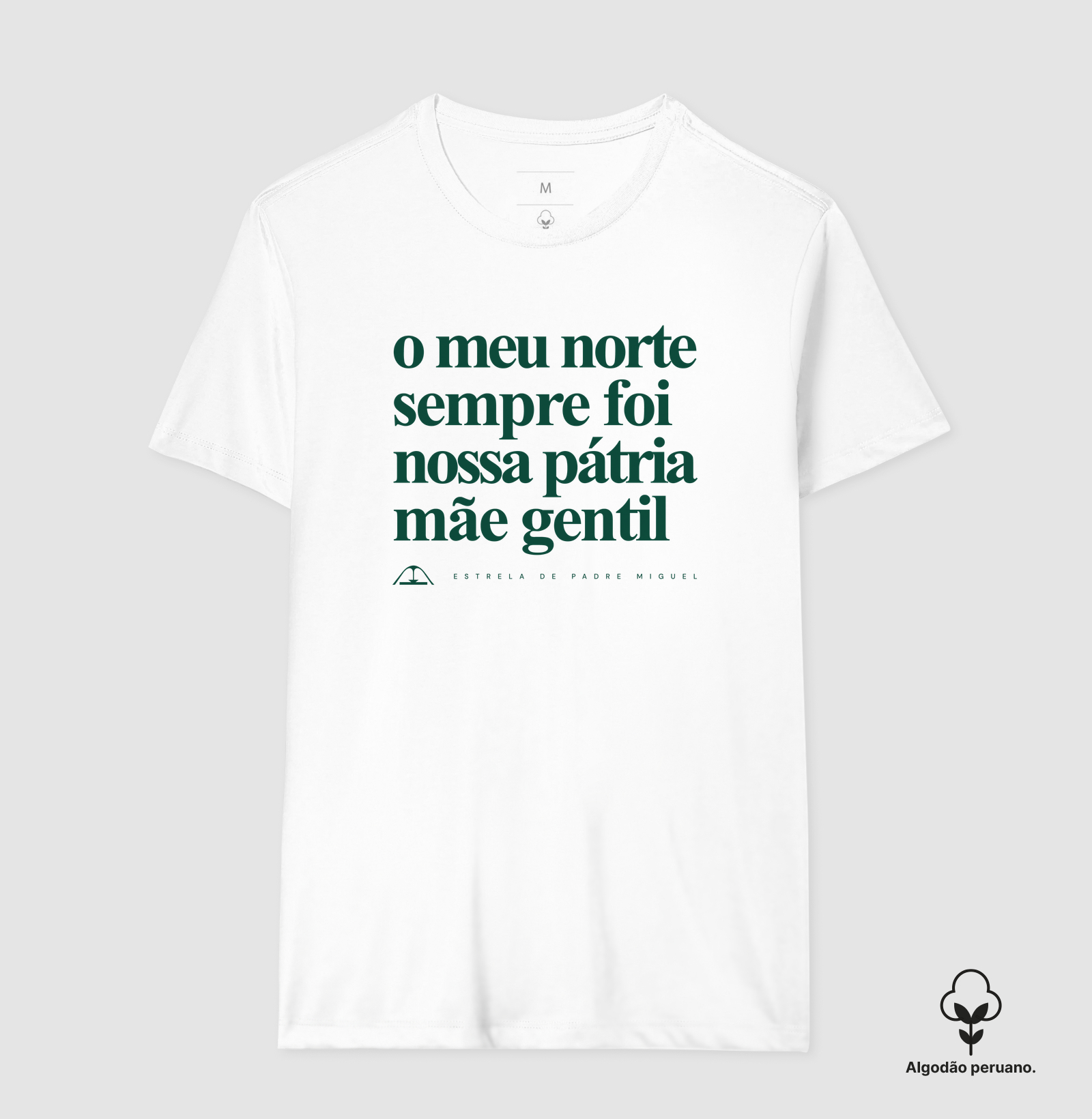 O meu norte sempre foi nossa pátria mãe gentil - Imagem 4