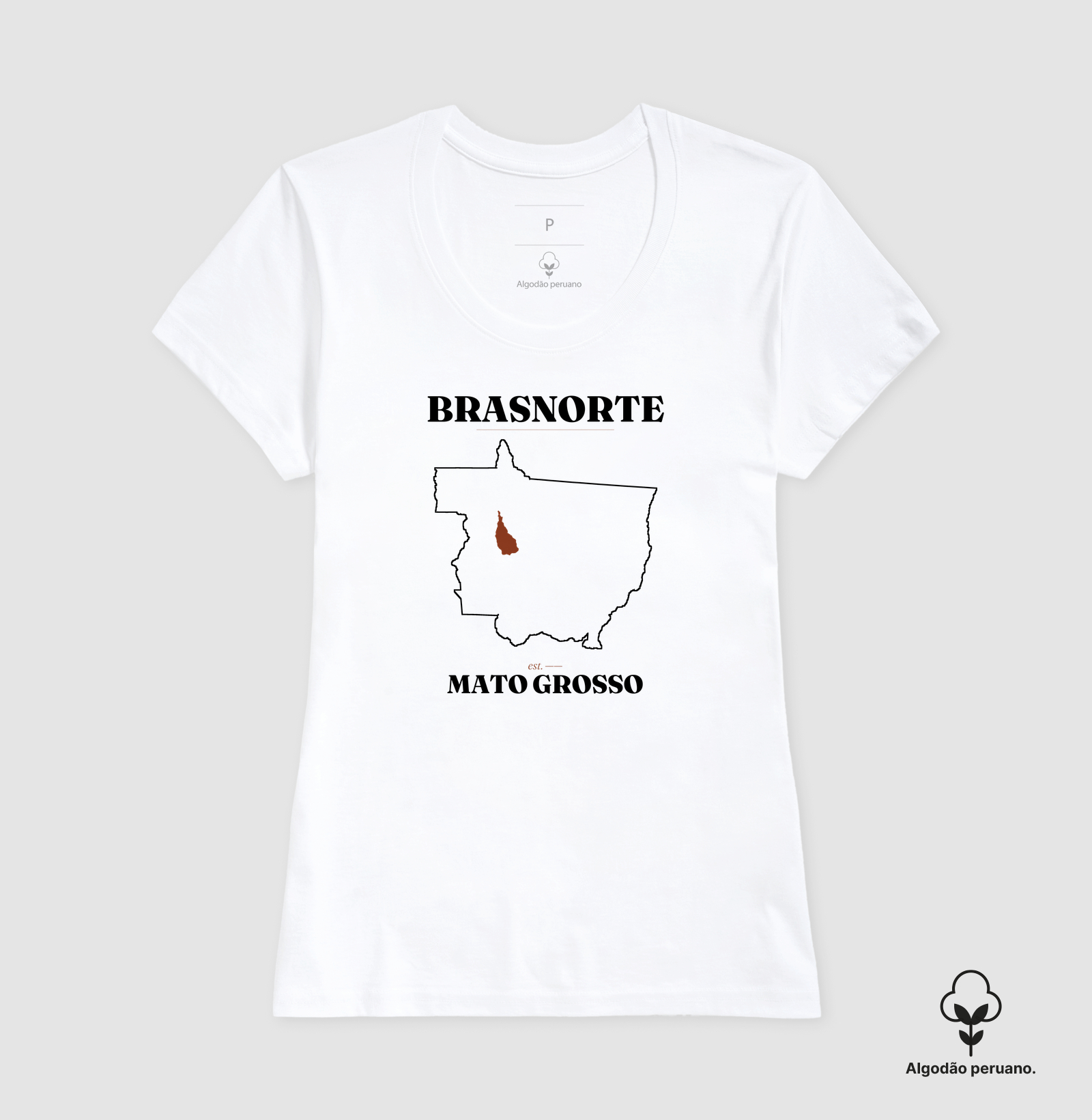 Brasnorte | Legado MT - Imagem 7