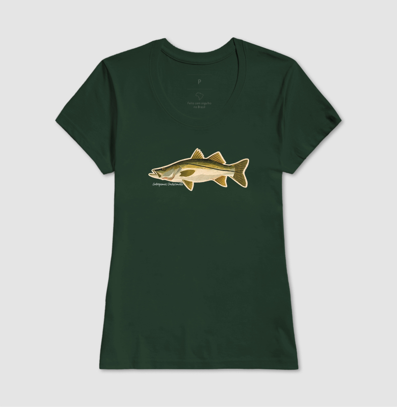 Robalo - Imagem 11
