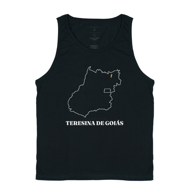 Teresina de Goiás | Traço GO - Imagem 3