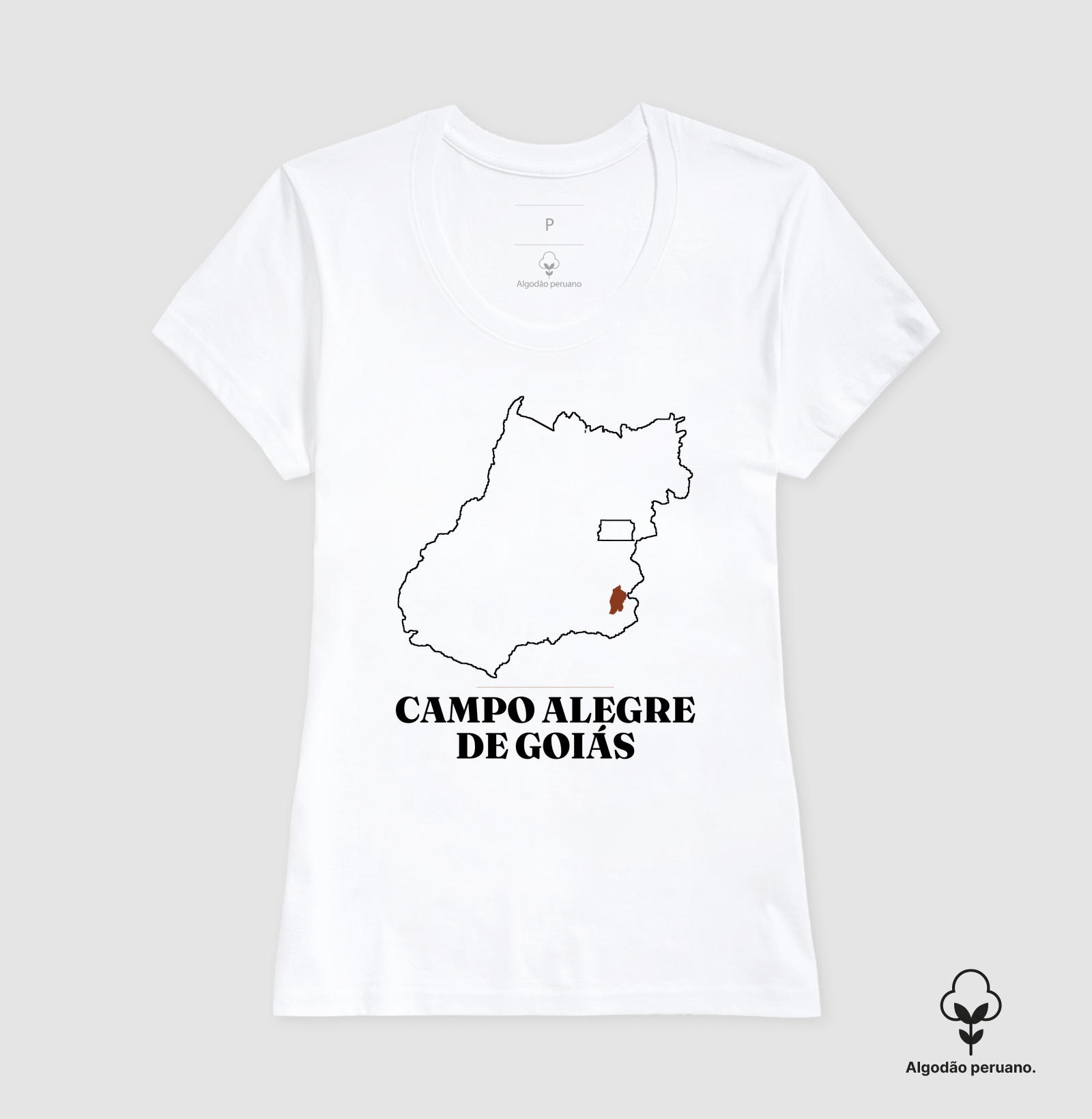 Campo Alegre de Goiás | Traço GO - Imagem 6