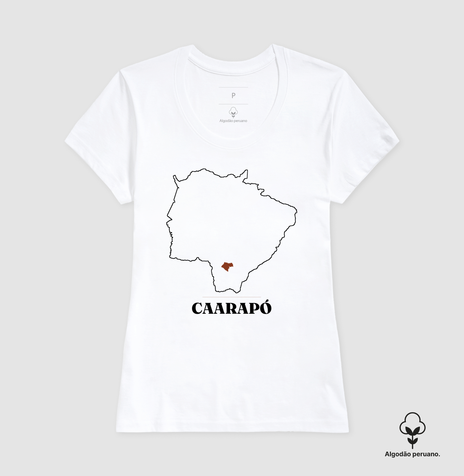 Caarapó | Traço MS - Imagem 6