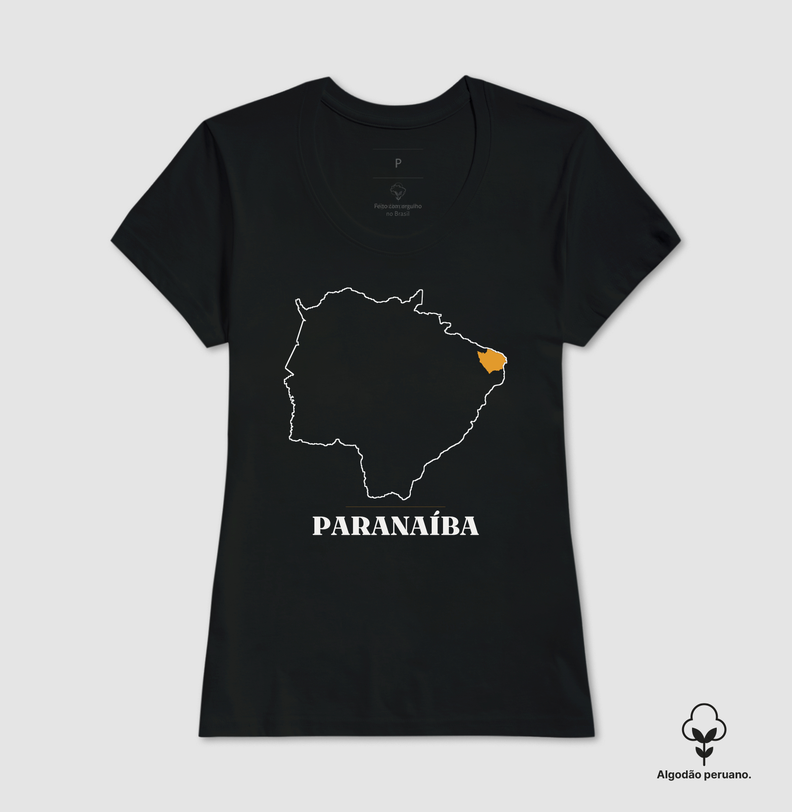 Paranaíba | Traço MS - Imagem 4
