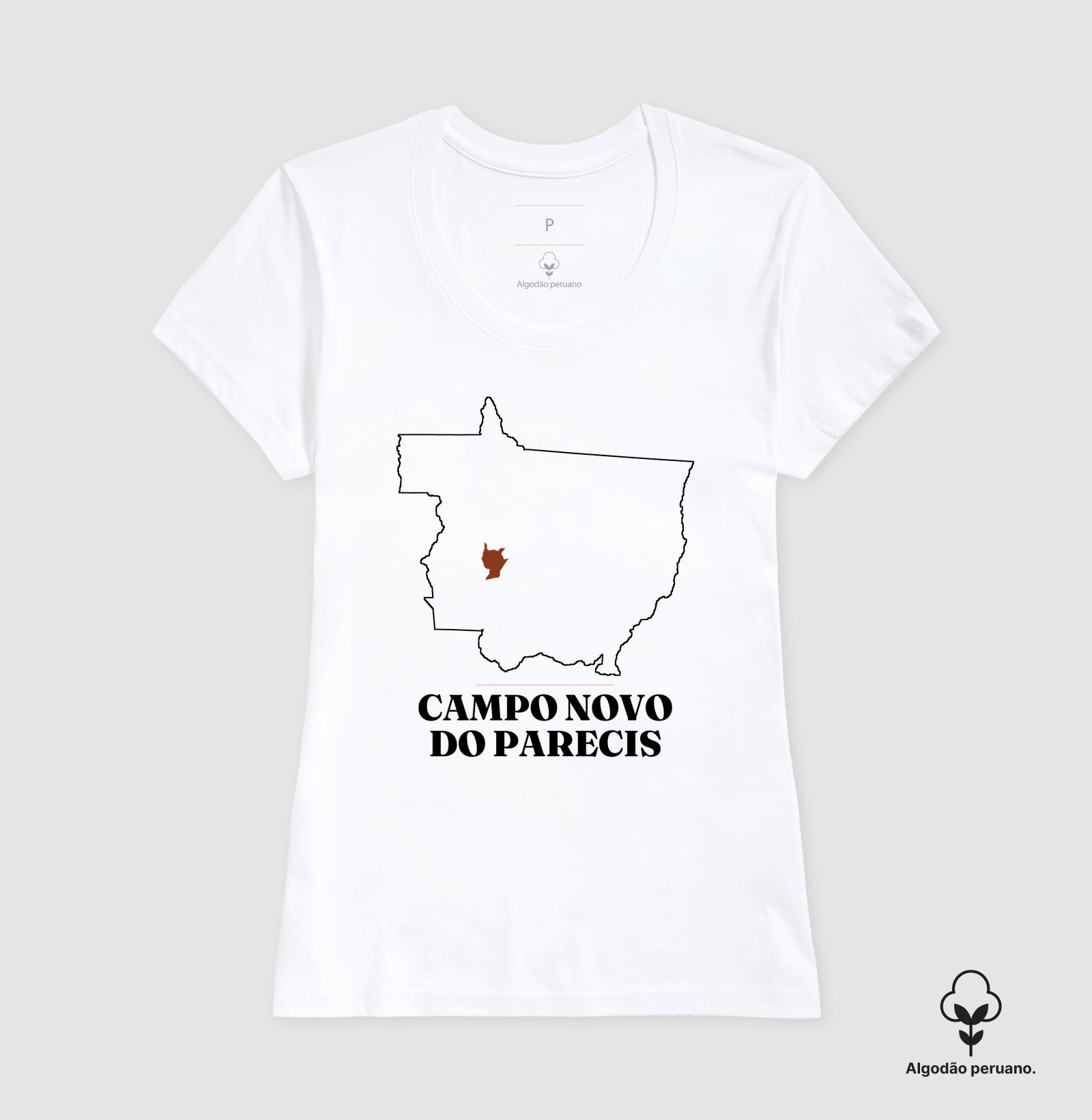 Campo Novo do Parecis | Traço MT - Imagem 6