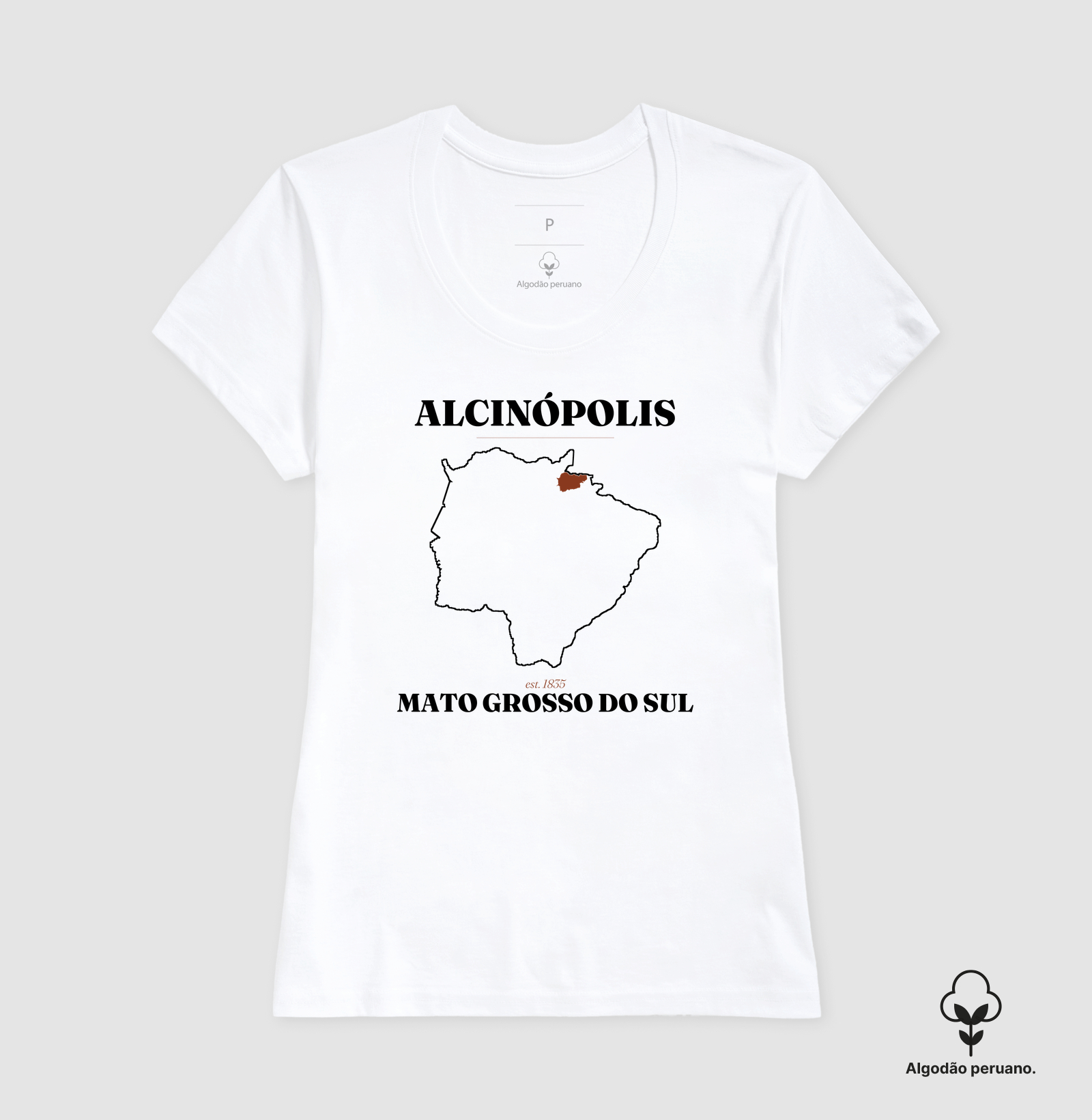 Alcinópolis | Legado MS - Imagem 2