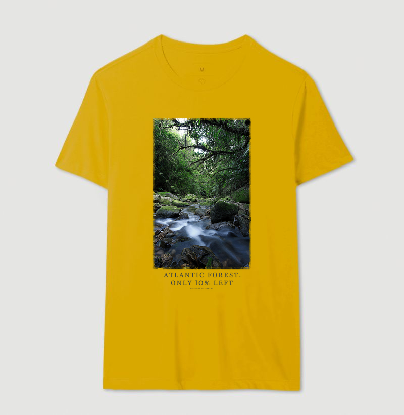Atlantic Forest - Imagem 8