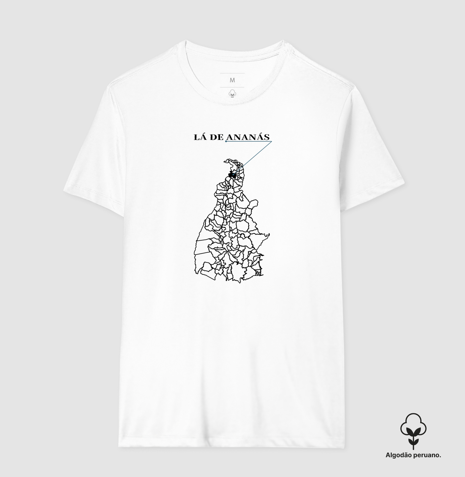 Ananás | Origem TO - Imagem 2