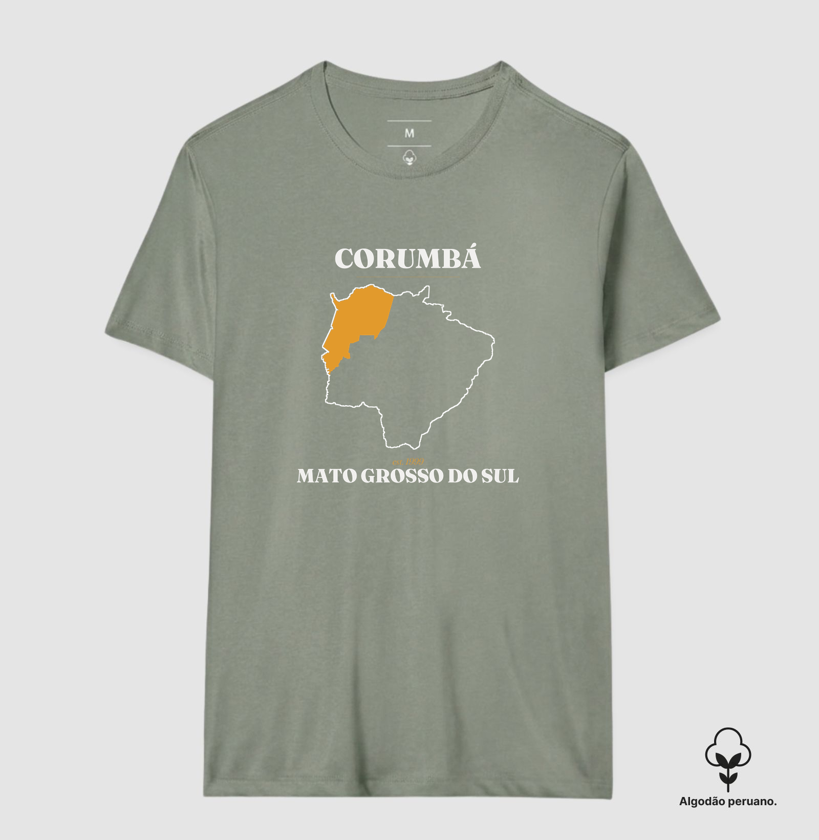 Corumbá | Legado MS - Imagem 9