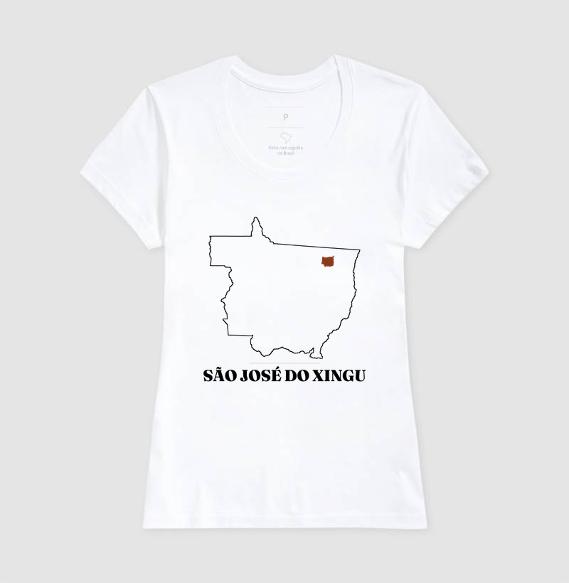 São José do Xingu | Traço MT - Imagem 5