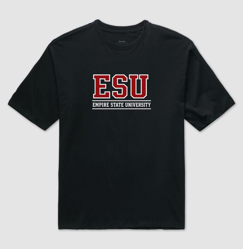 Empire State University - Imagem 2