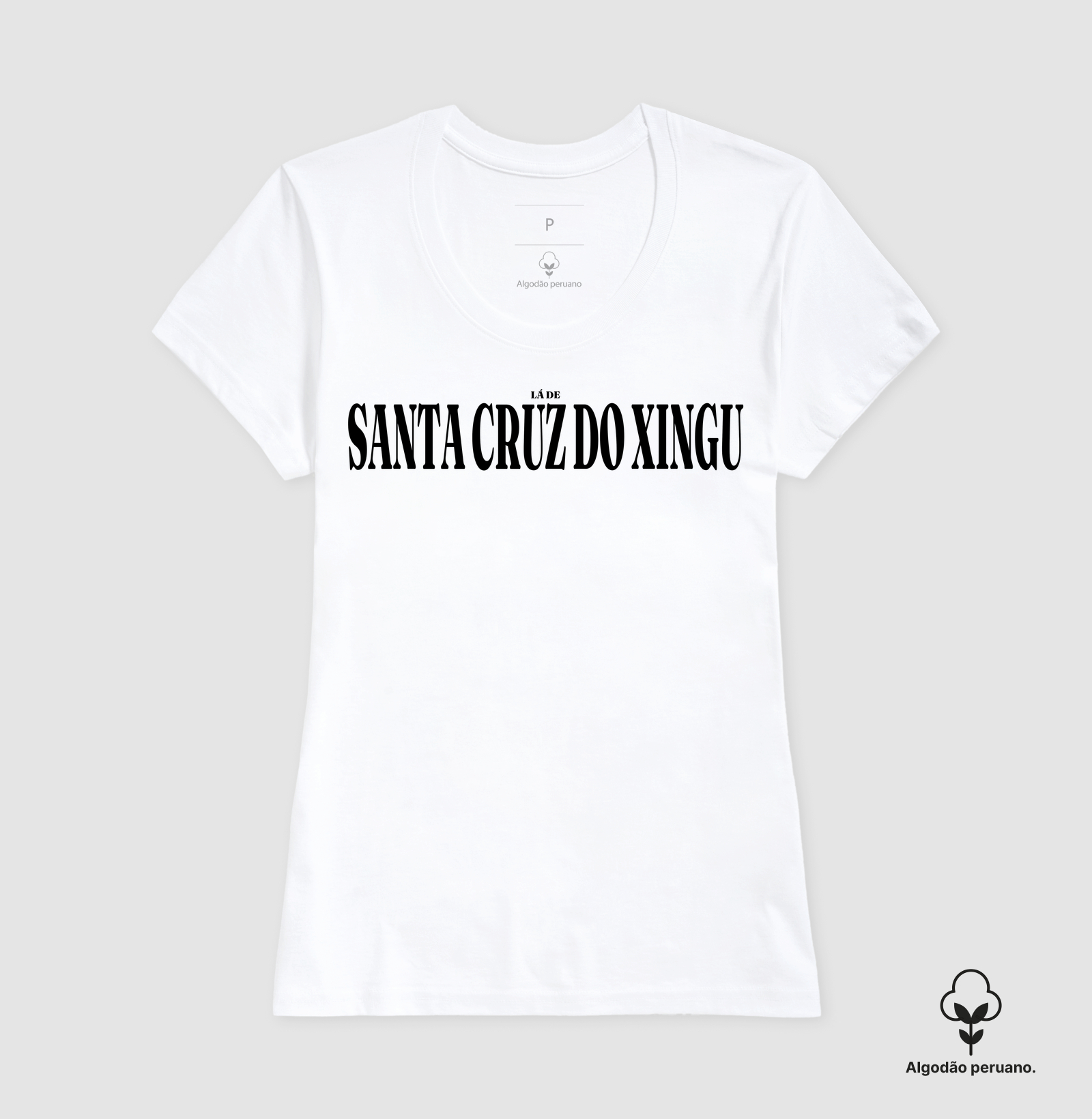 Santa Cruz do Xingu | Tipografia MT - Imagem 6