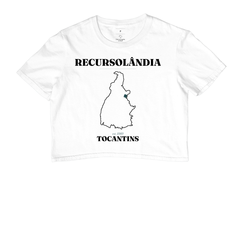 Recursolândia | Legado TO - Imagem 3