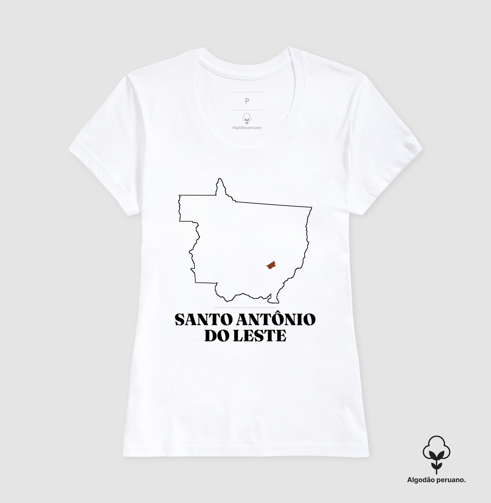 Santo Antônio do Leste | Traço MT - Imagem 8