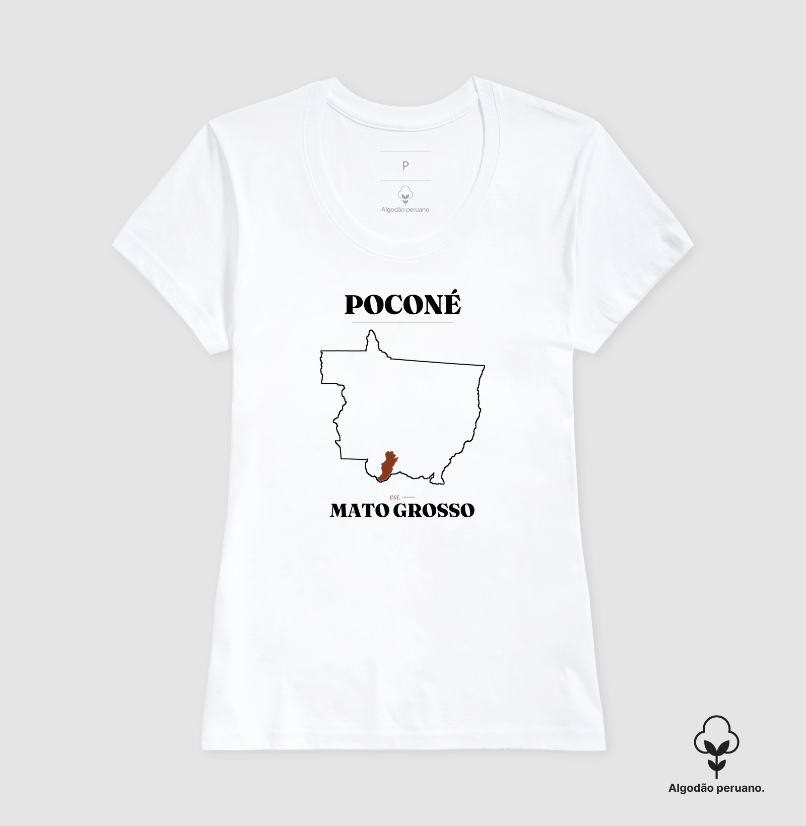 Poconé | Legado MT - Imagem 7