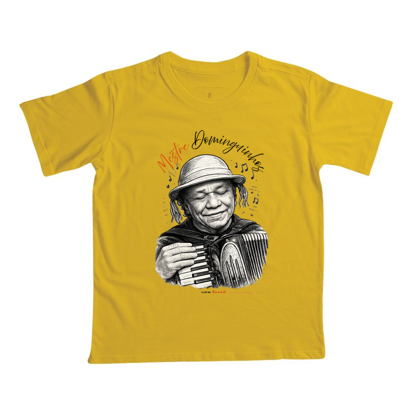 Mestre Dominguinhos - Imagem 4