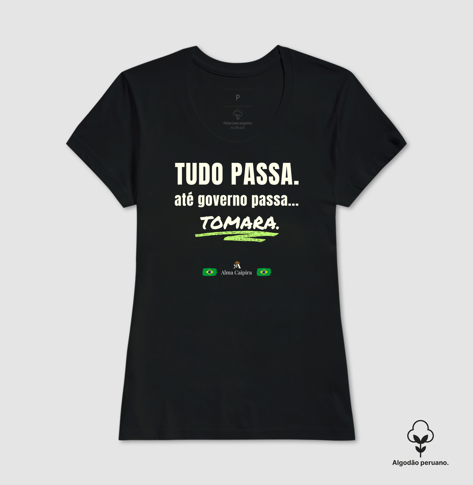 Tudo passa, até governo passa... tomara - Imagem 4