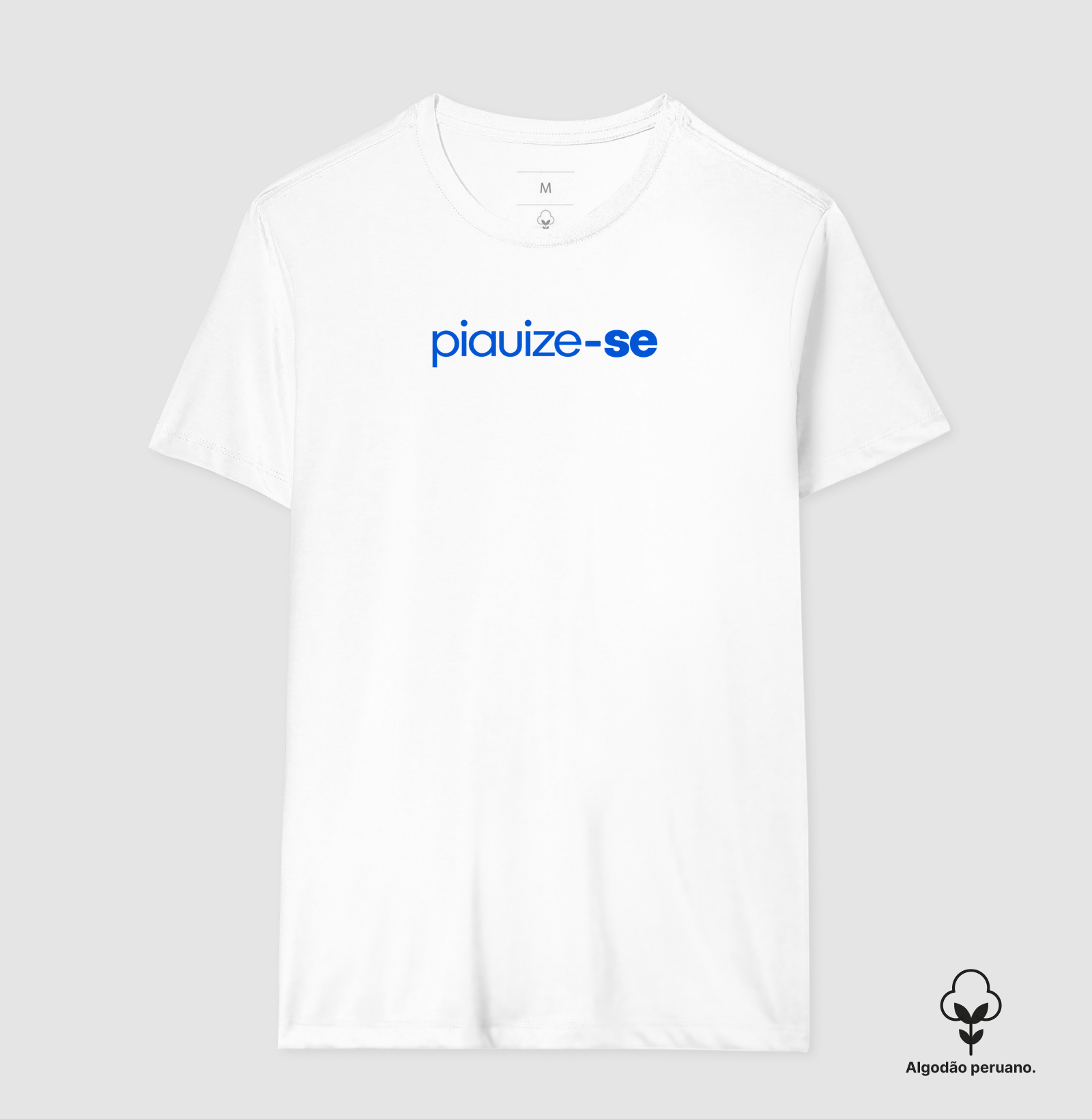 Piauize-se - Imagem 4