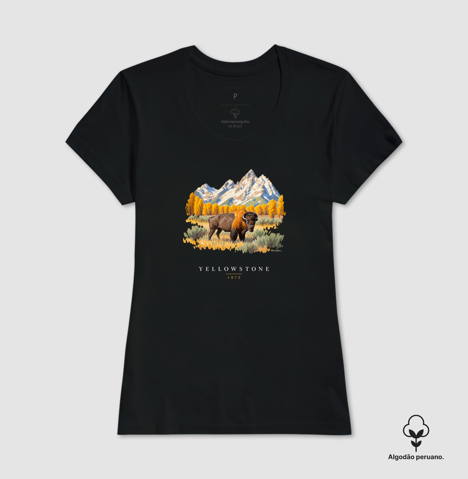 Bison - Yellowstone - Imagem 8