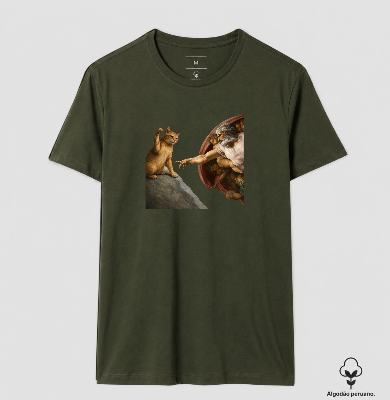 Michelangelo Orange Tabby - Imagem 9