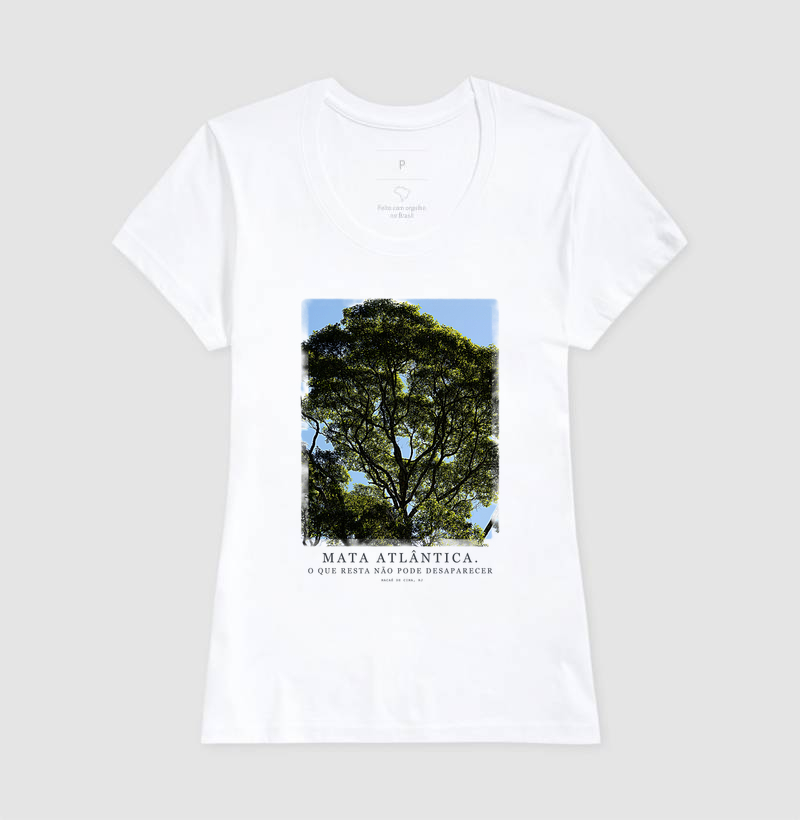 Mata Atlântica - Imagem 3