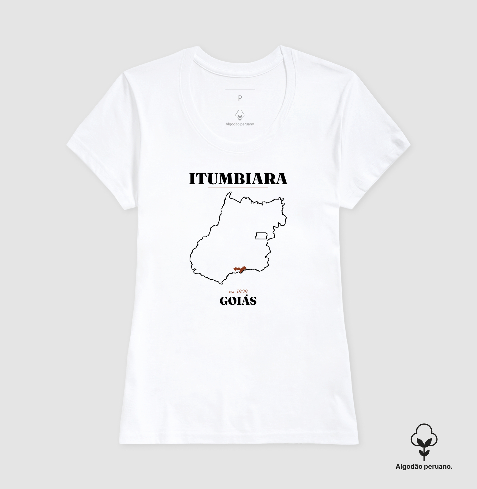 Itumbiara | Legado GO - Imagem 5