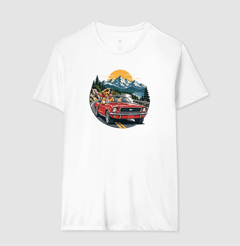 Road Trip - Imagem 4