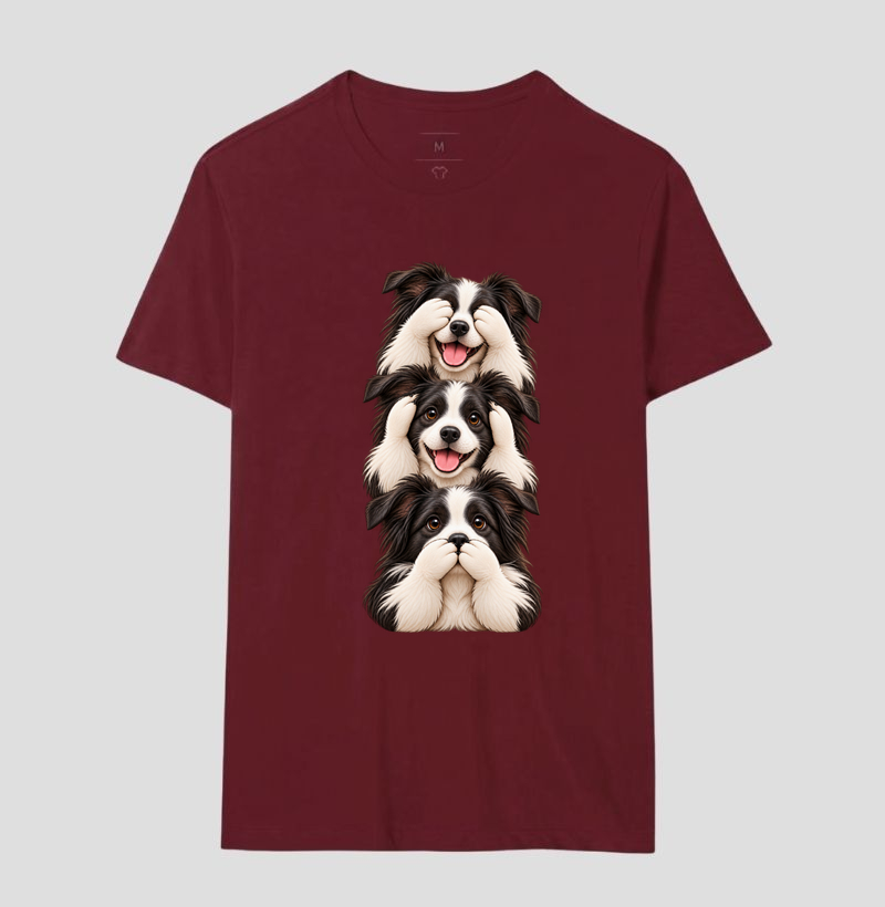 Ver, ouvir e falar Border Collie - Imagem 16