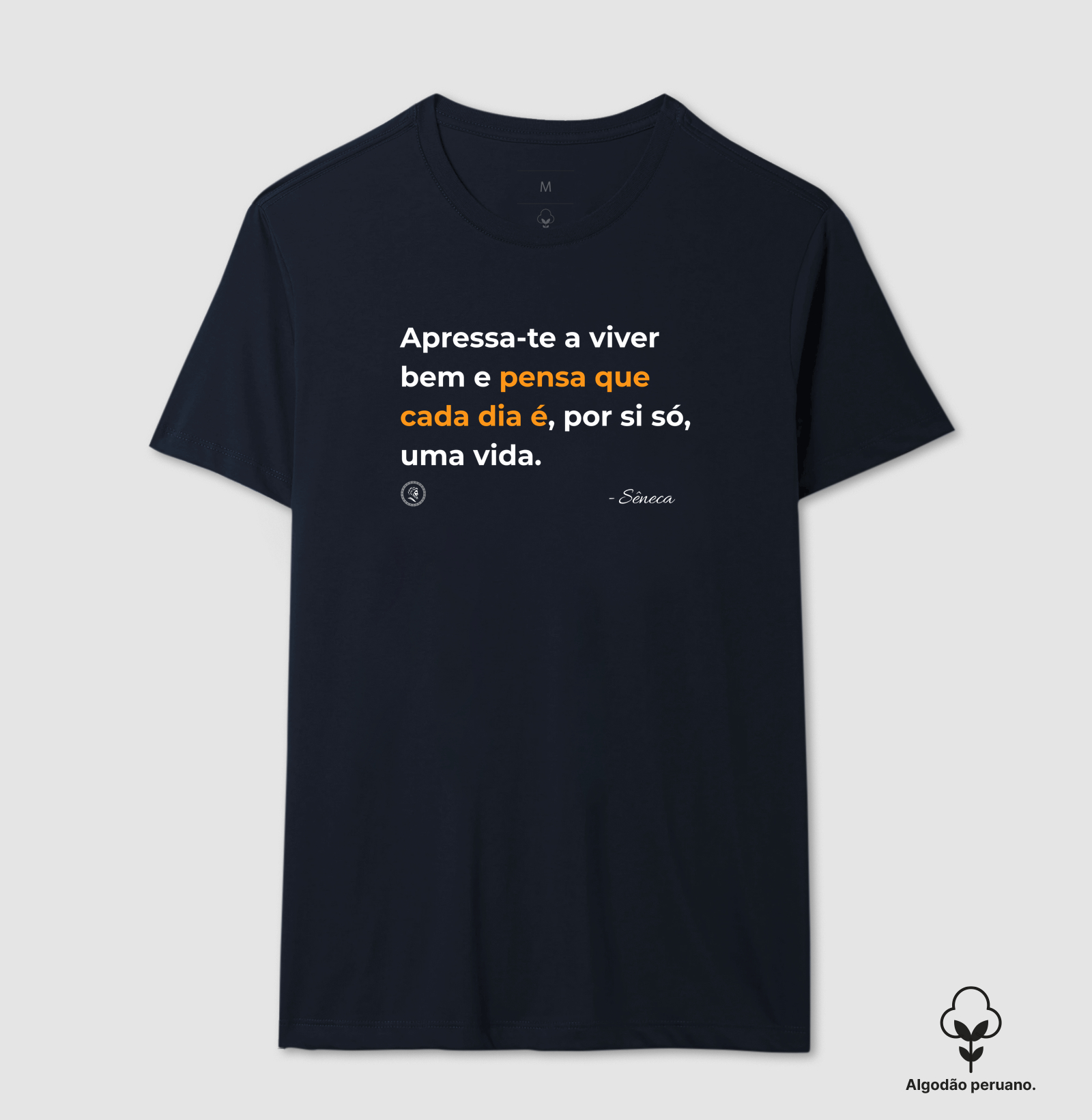 Estocisimo de Sêneca "Apressa-te a viver bem" - Imagem 4