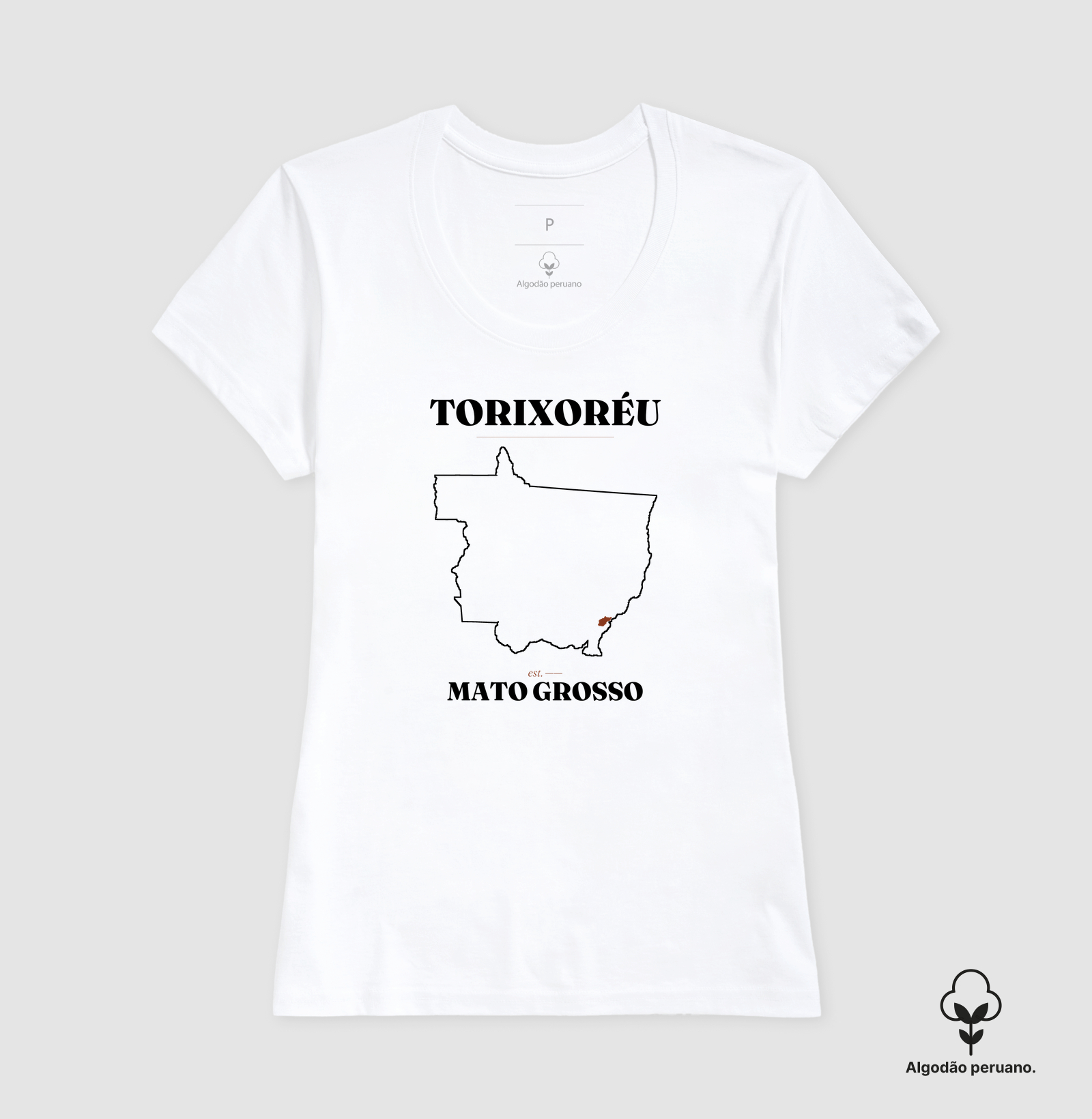 Torixoréu | Legado MT - Imagem 9