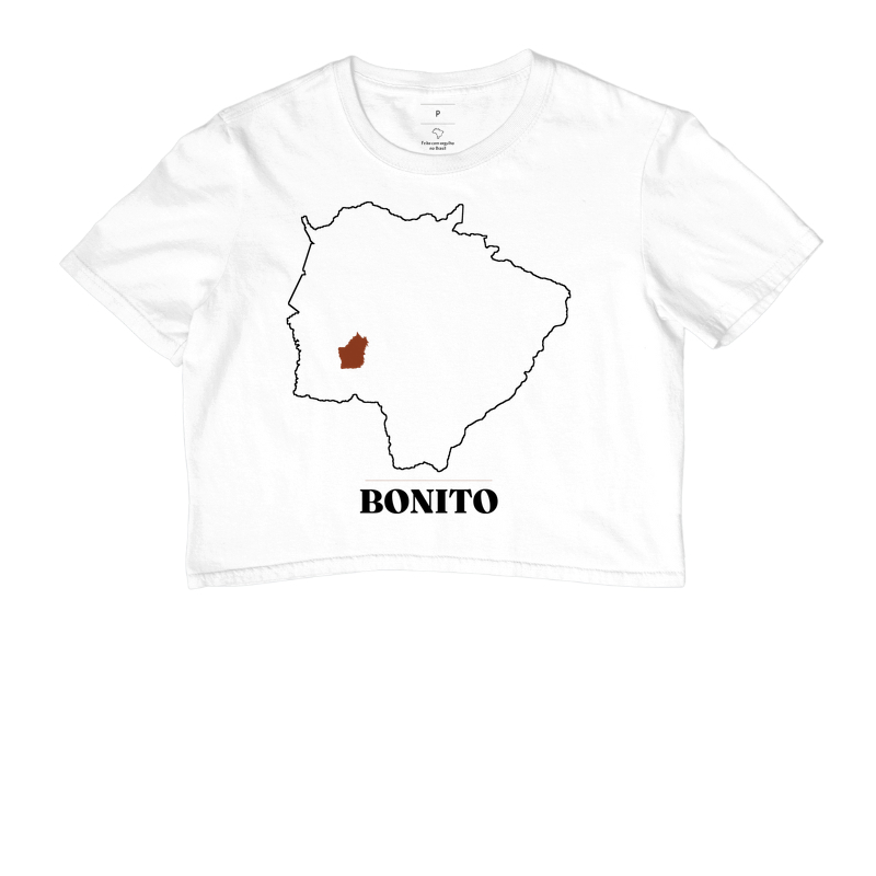 Bonito | Traço MS - Imagem 3