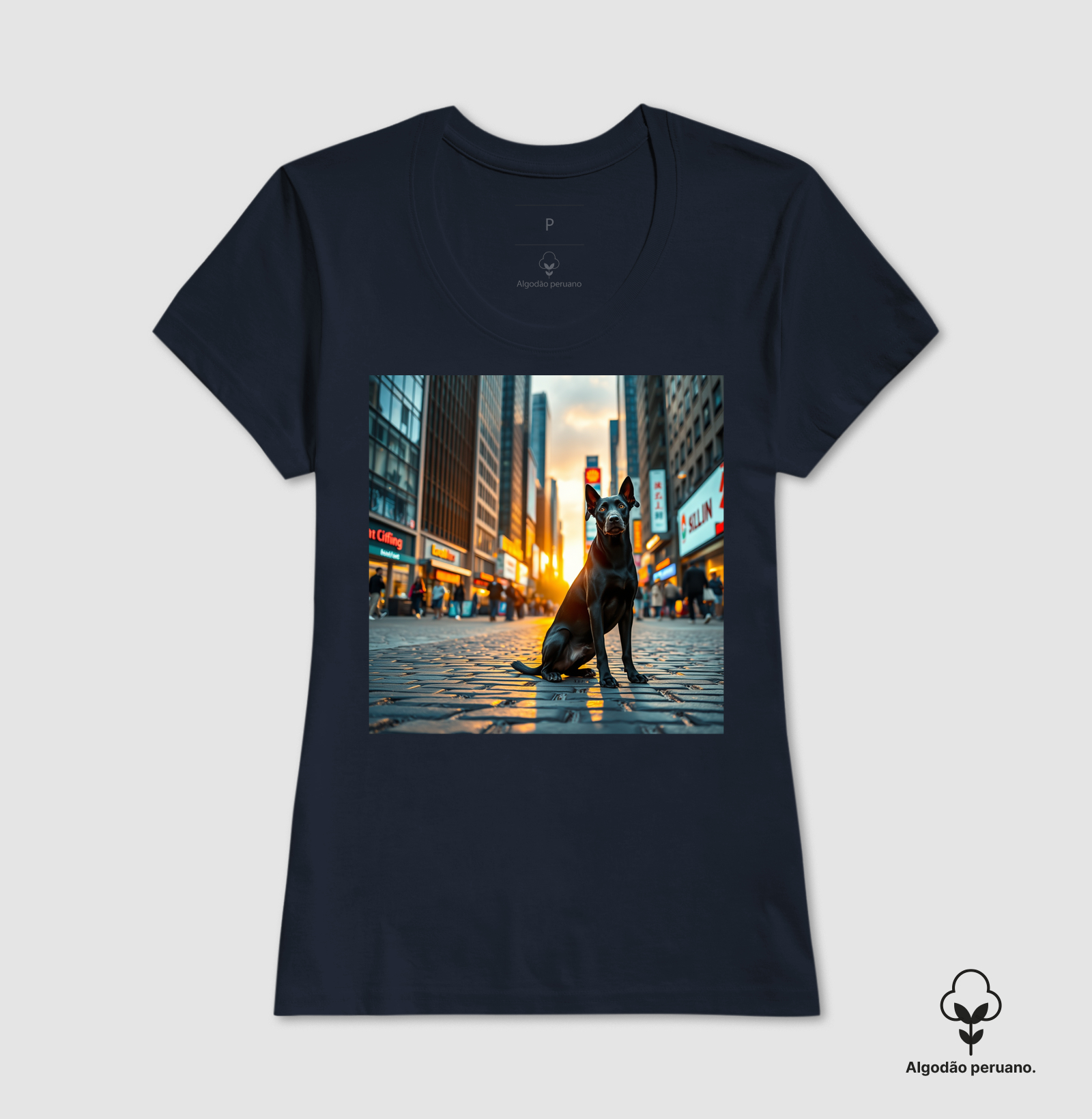 Camisa 6