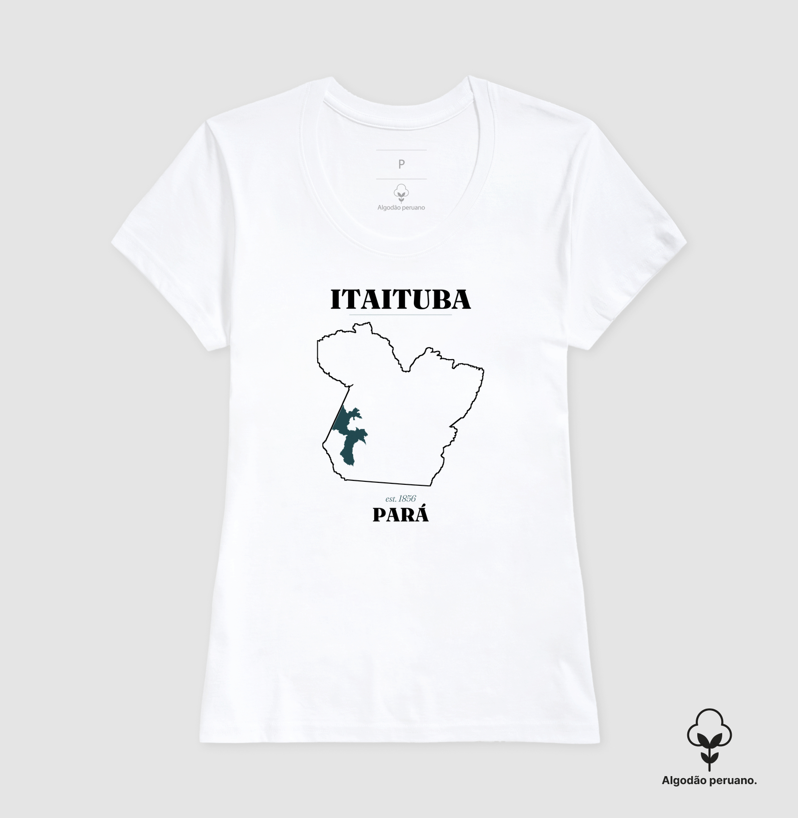 Camisa 6