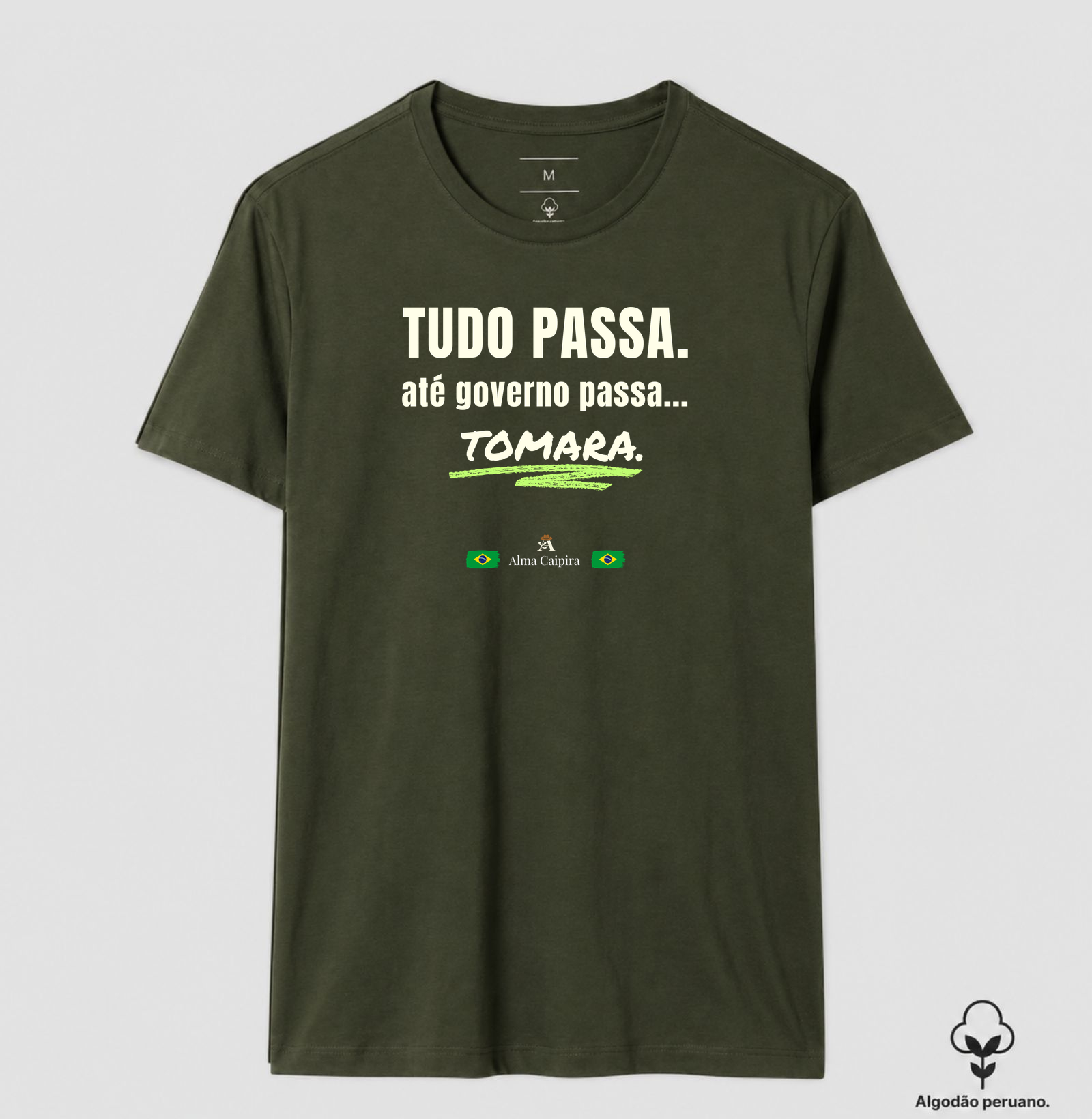 Tudo passa, até governo passa... tomara - Imagem 8