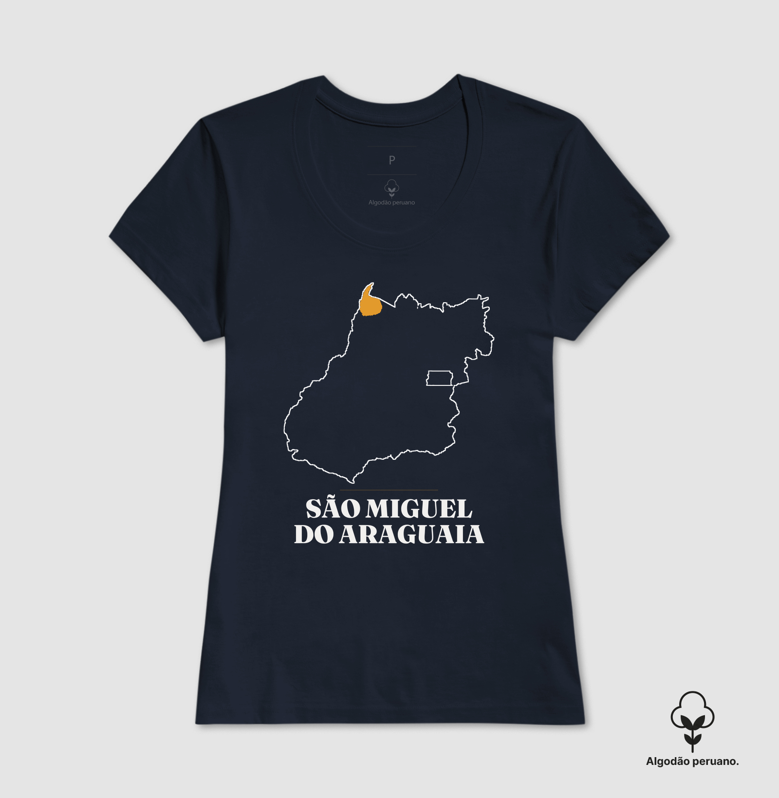São Miguel do Araguaia | Traço GO - Imagem 3