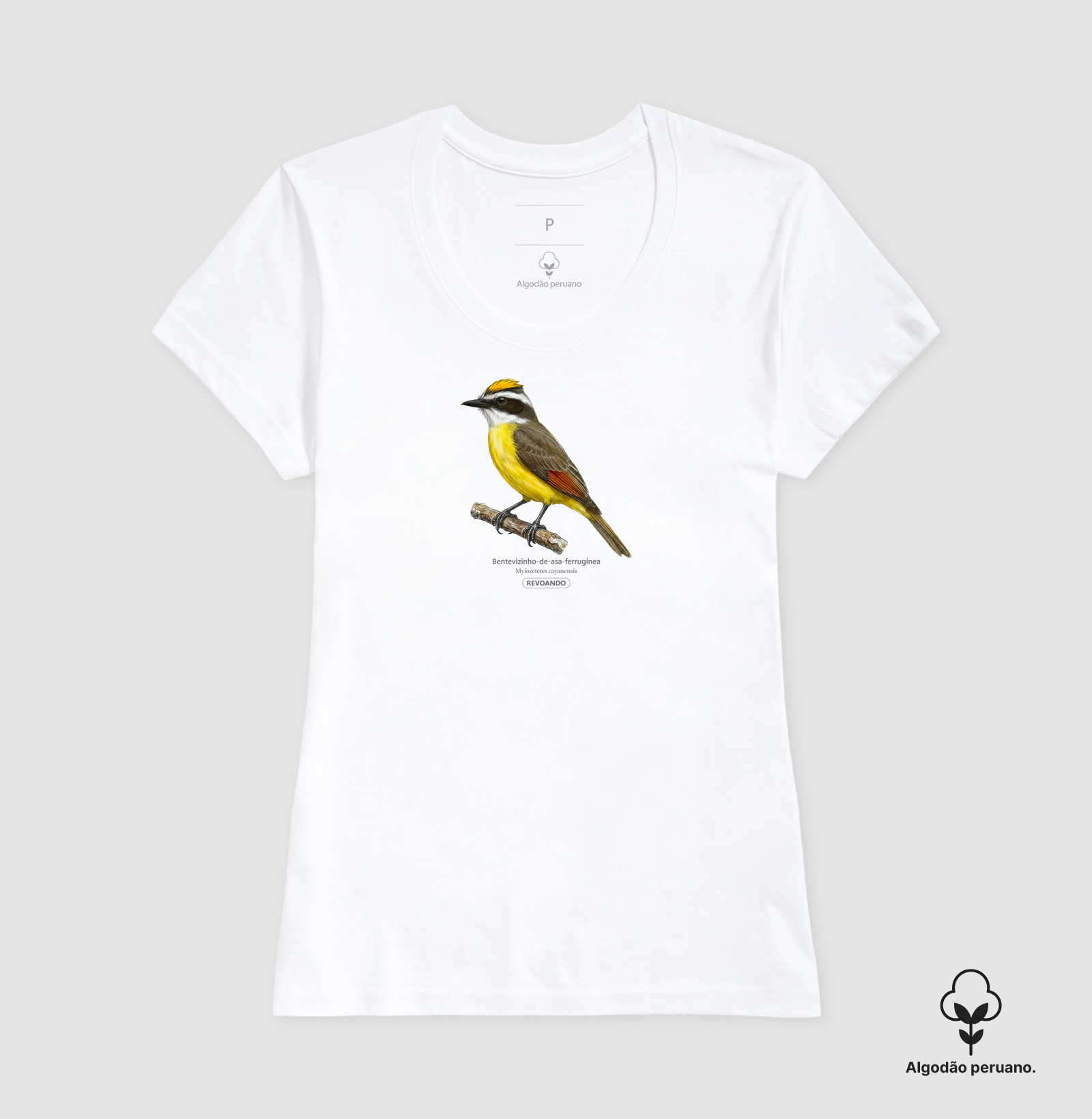 Camisa 7
