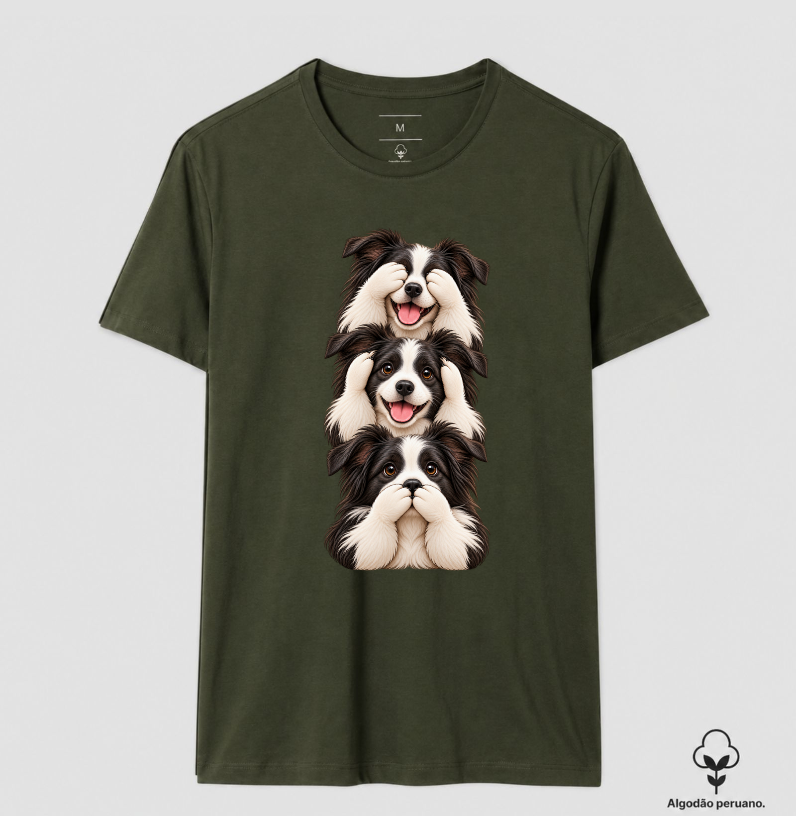Ver, ouvir e falar Border Collie - Imagem 9