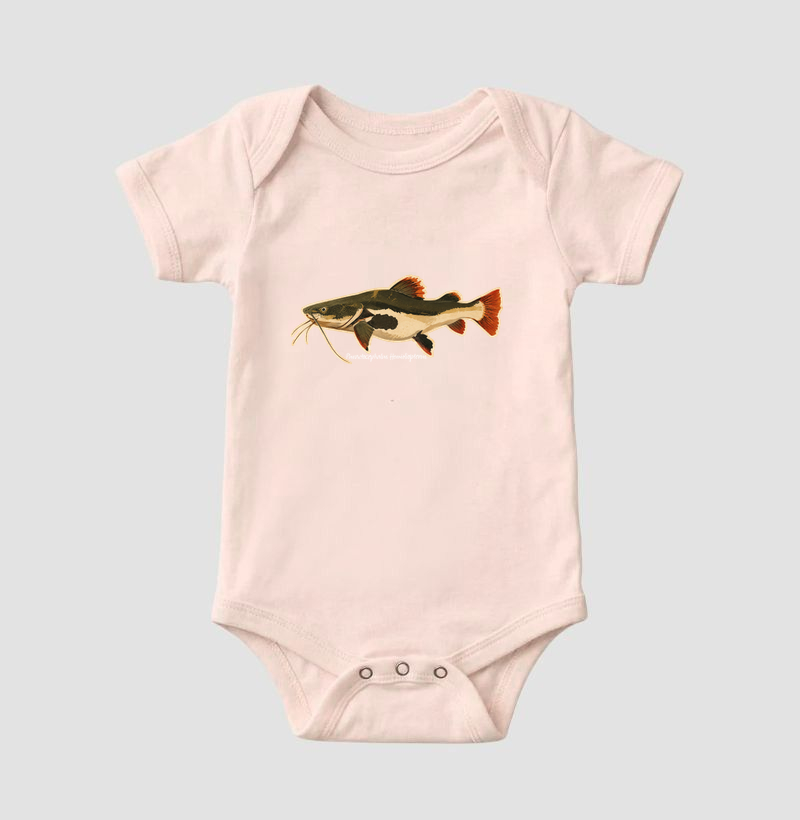 Pirarara 🐟 - Imagem 5