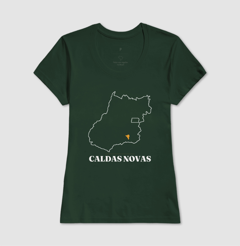 Caldas Novas | Traço GO - Imagem 13