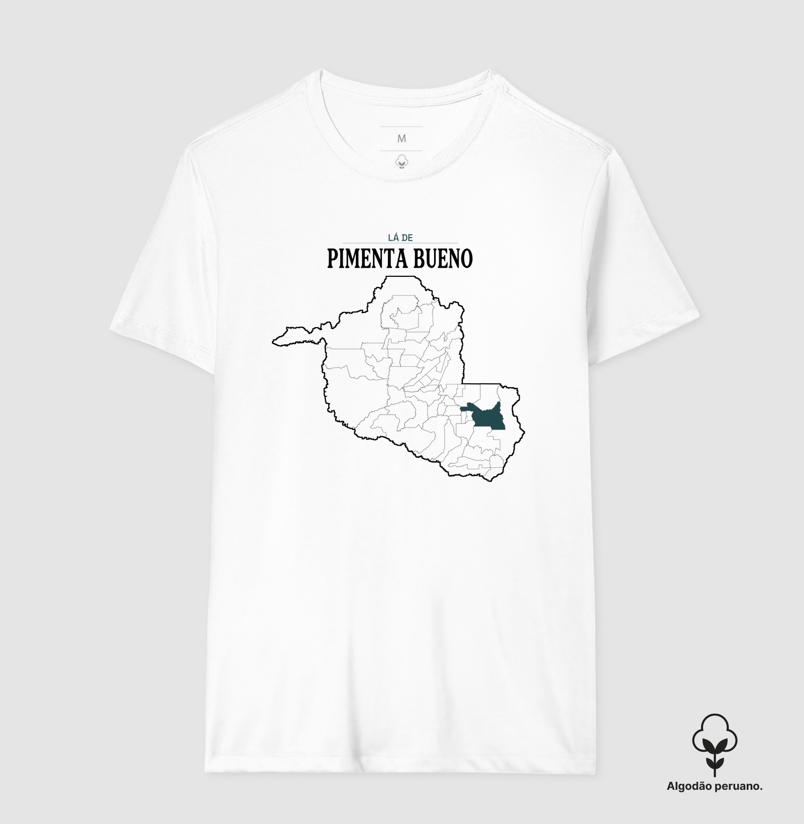 Pimenta Bueno | Território RO - Imagem 6