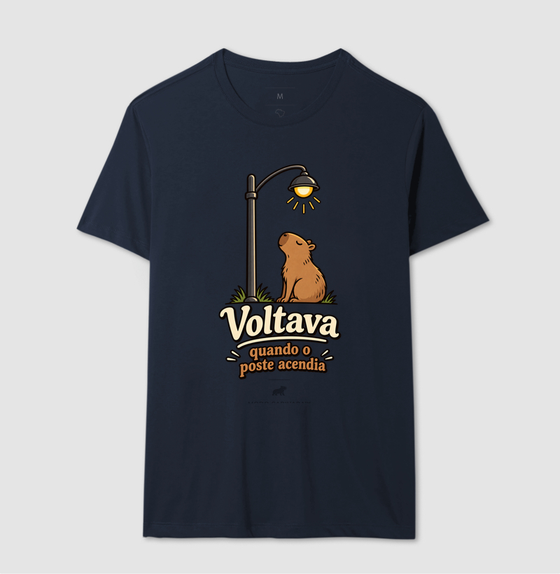 VOLTAVA QUANDO O POSTE ACENDIA - Imagem 8