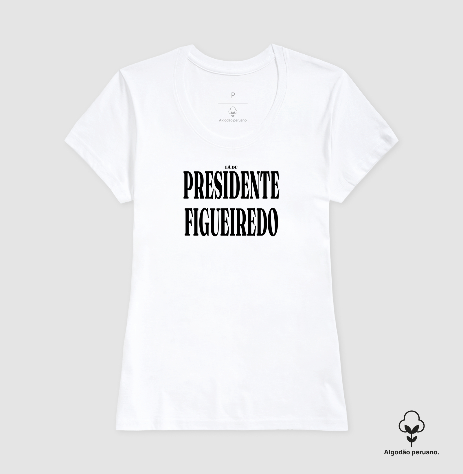 Presidente Figueiredo | Tipografia AM - Imagem 6