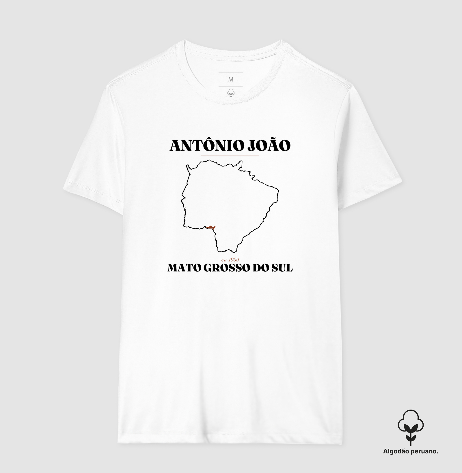 Antônio João | Legado MS - Imagem 6