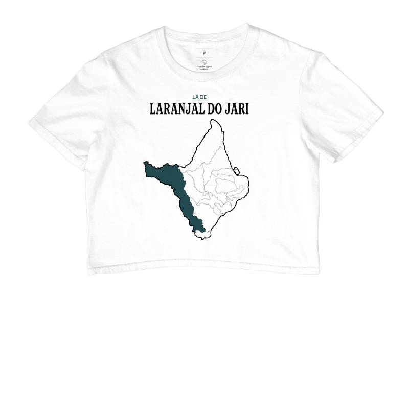 Laranjal do Jari | Território AP - Imagem 3