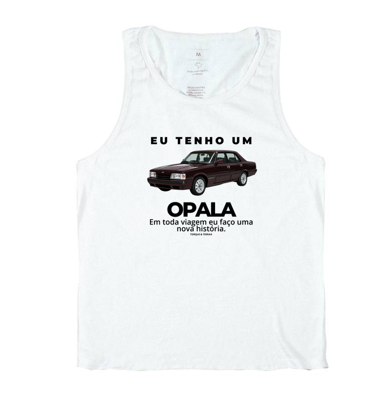 Eu tenho um Opala Diplomata vinho - Imagem 2
