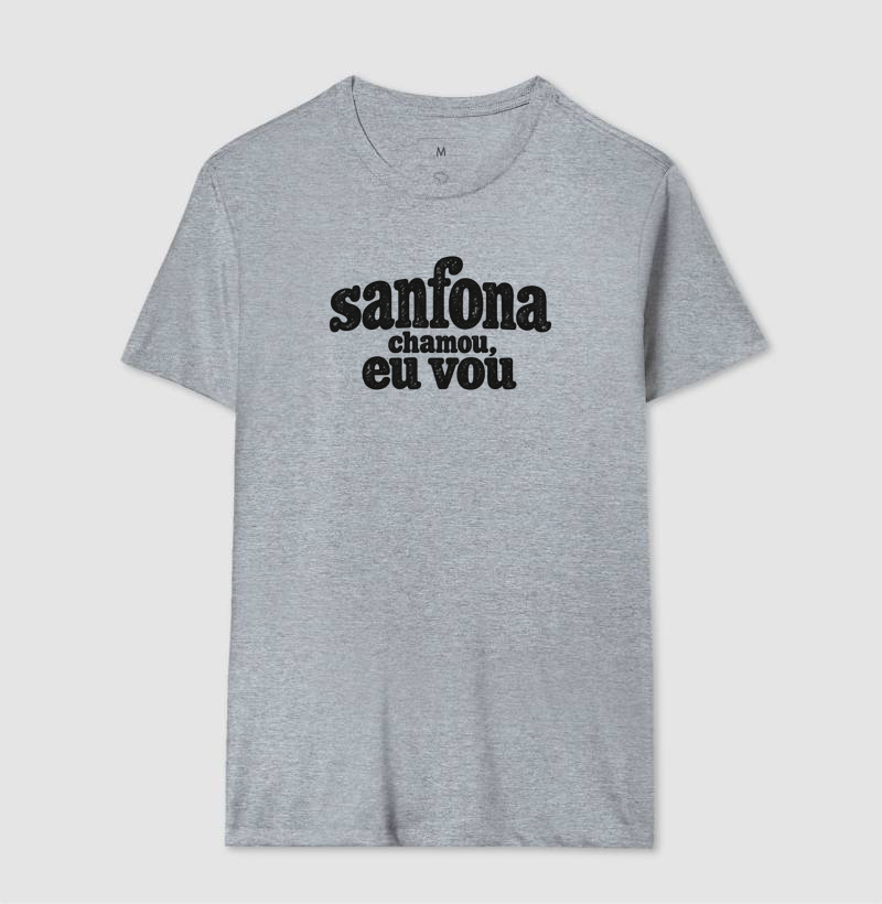 Sanfona chamou, eu vou - Imagem 8