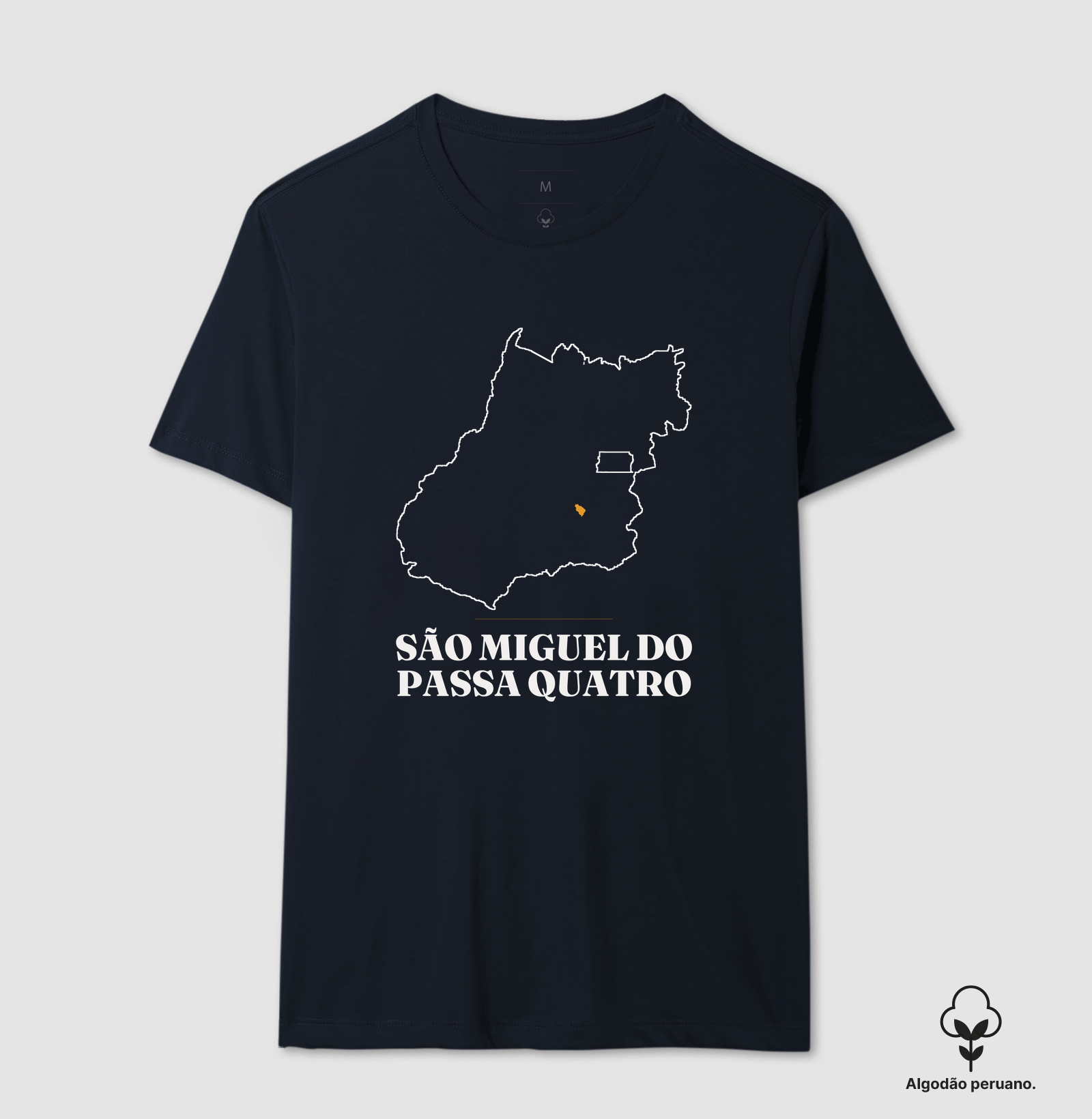 São Miguel do Passa Quatro | Traço GO - Imagem 7