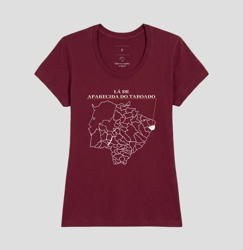 Aparecida do Taboado | Origem MS - Imagem 19