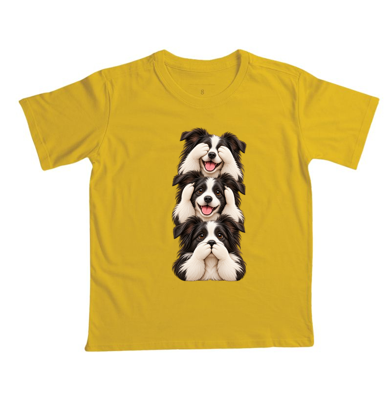 Ver, ouvir e falar Border Collie - Imagem 7