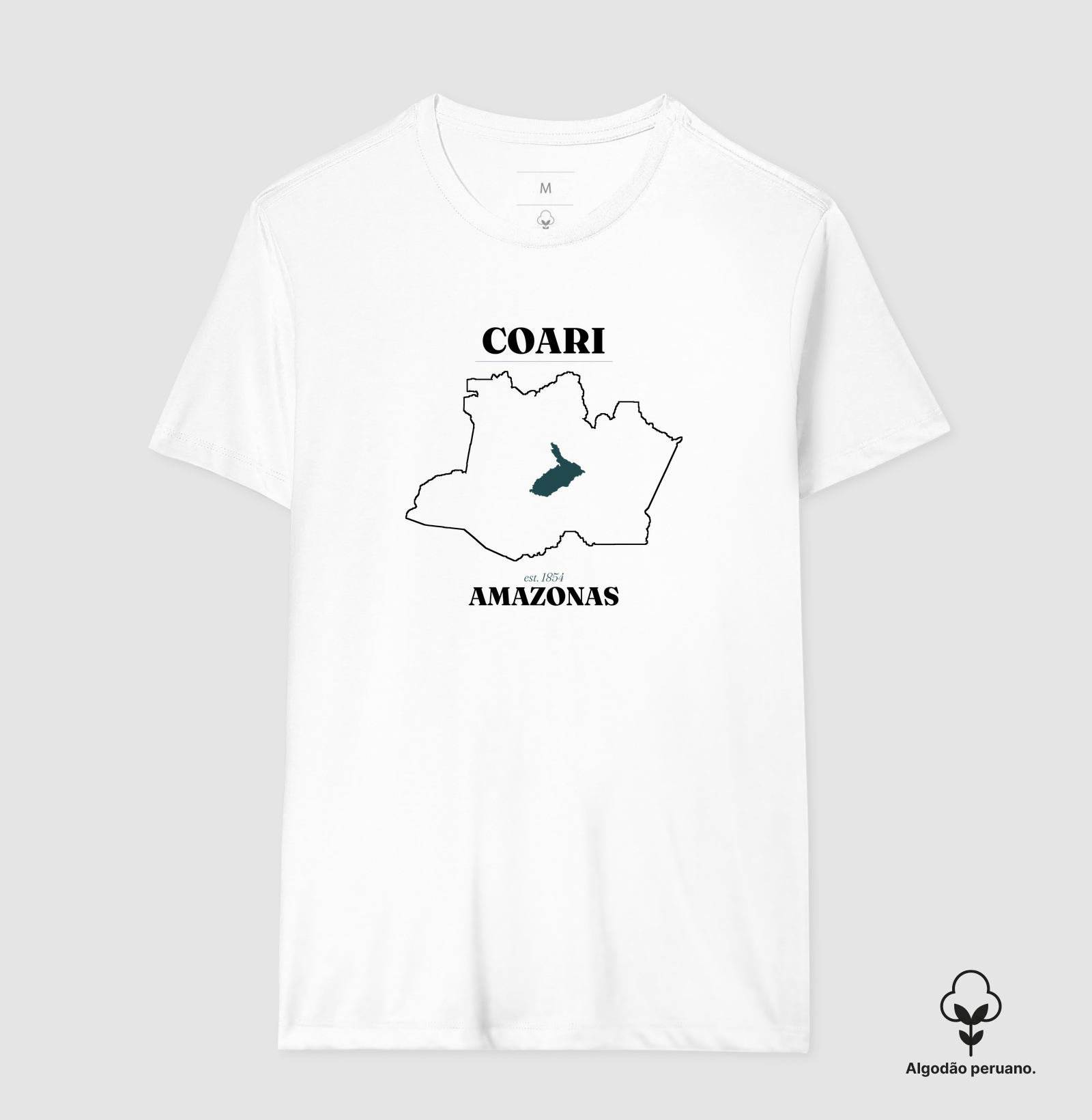 Coari | Legado AM - Imagem 4
